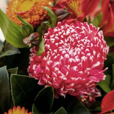 Carmen López Aparicio