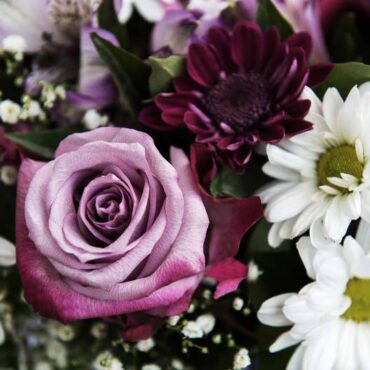 Juana Martínez Almagro