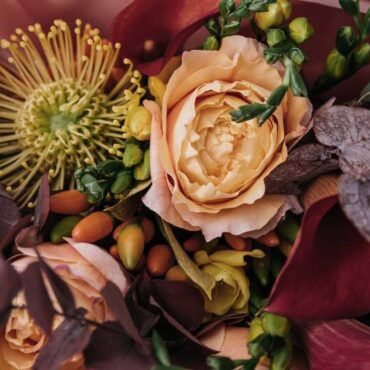 Dolores Ros Pedreño